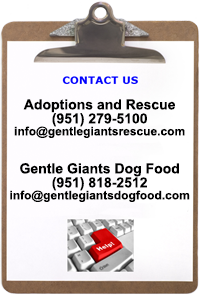 contact info